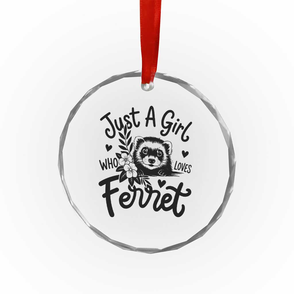 Just a Girl Who Loves Ferrets Crystal Glass Ornament Exotic Pet Owner Gift TS12 Print Your Wear