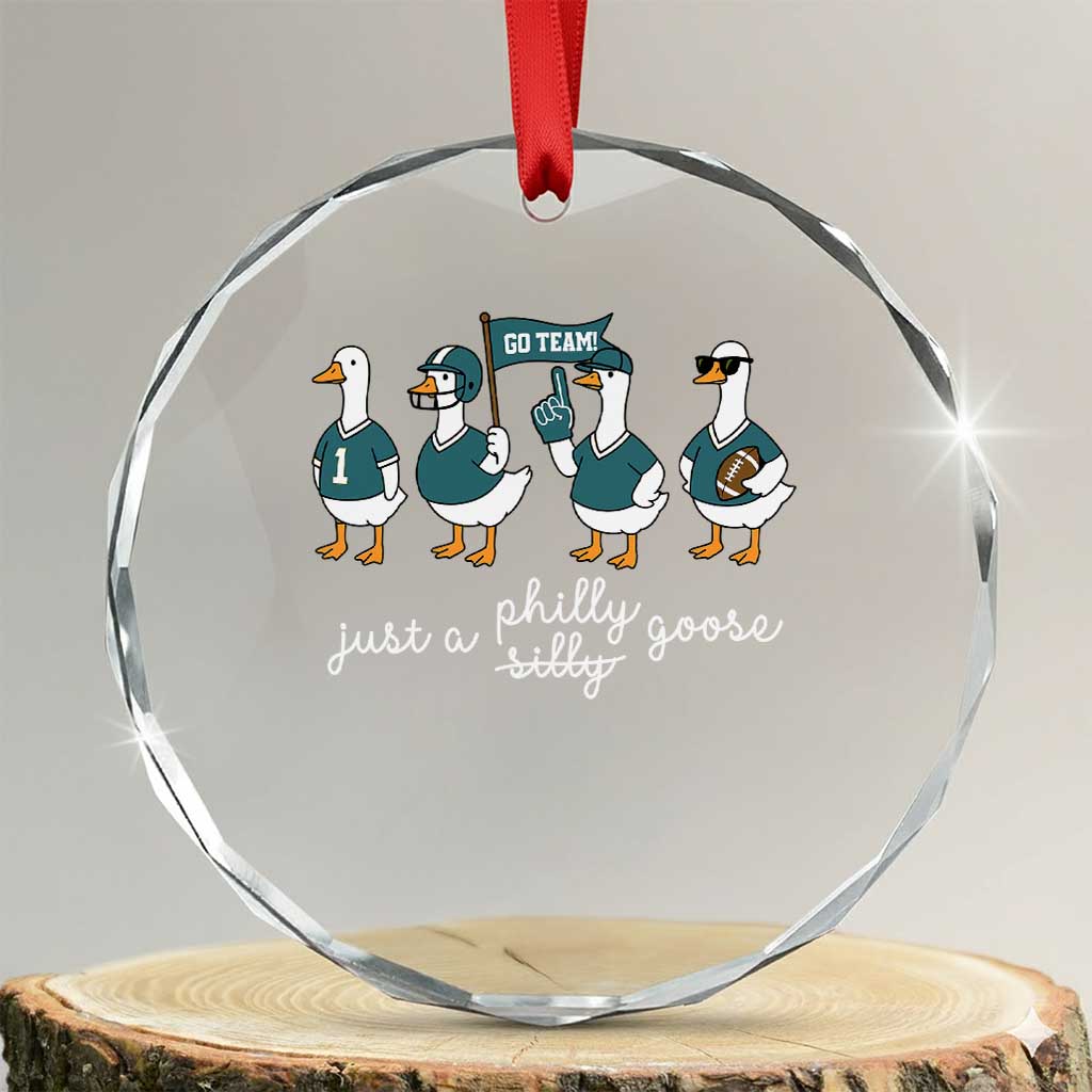 Funny Just A Silly Goose Football Crystal Glass Ornament PFE Sport Lover Game Day TS11 Transparent Glass 3'' Circle Print Your Wear