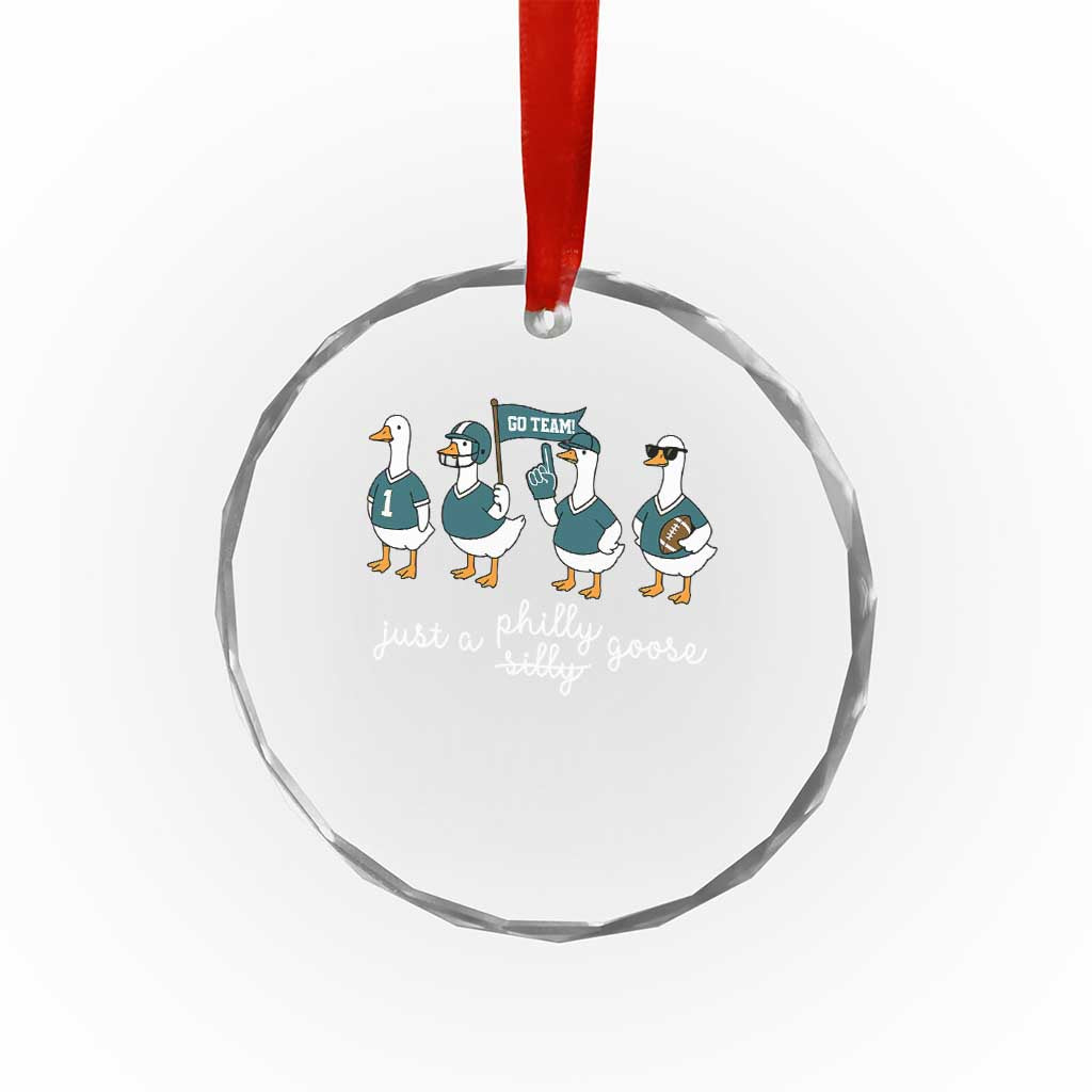 Funny Just A Silly Goose Football Crystal Glass Ornament PFE Sport Lover Game Day TS11 Print Your Wear