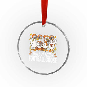 Just A Silly Football Crystal Glass Ornament Animal Sports Fan Gift TS12 Print Your Wear