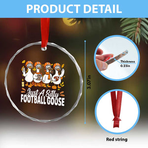Just A Silly Football Crystal Glass Ornament Animal Sports Fan Gift TS12 Print Your Wear