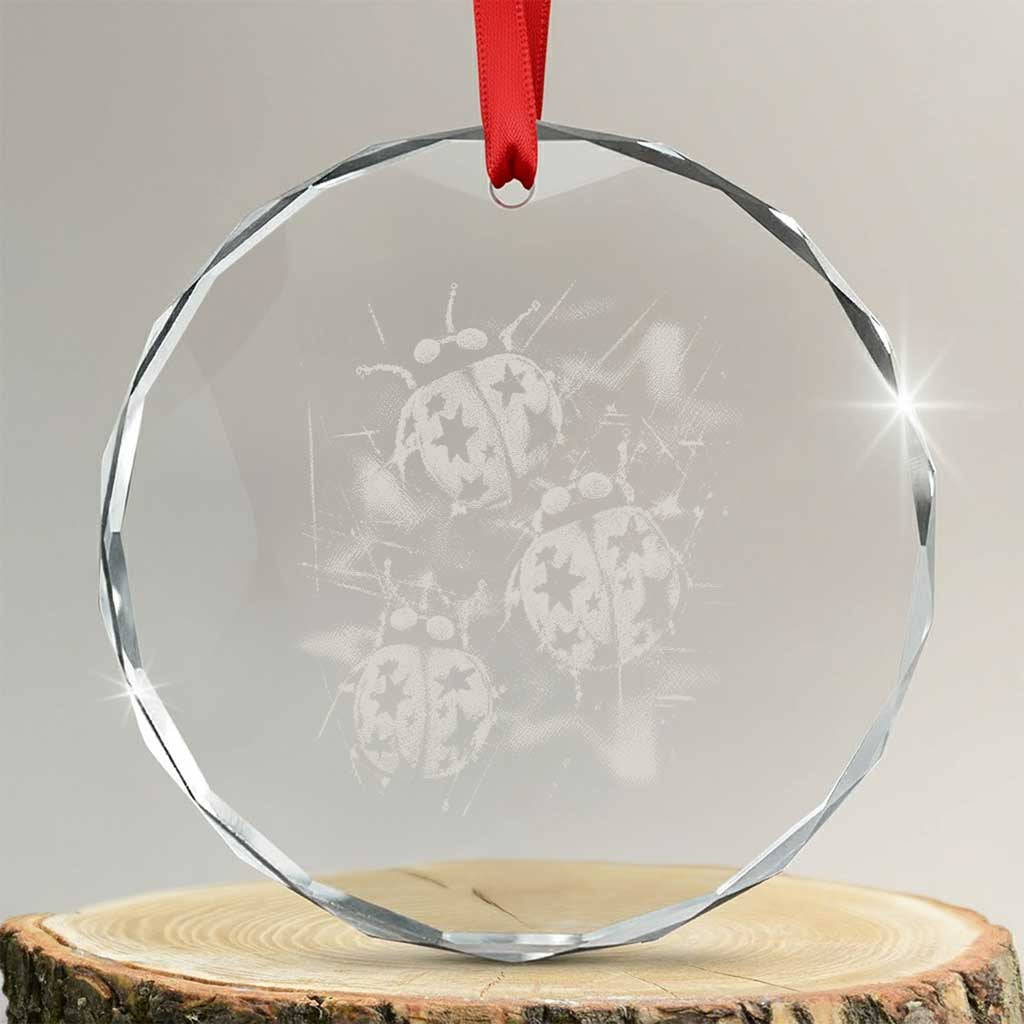Ladybug Y2k Grunge 2000s Alt 90s Vintage Star Dots Teen Crystal Glass Ornament TS11 Transparent Glass 3'' Circle Print Your Wear