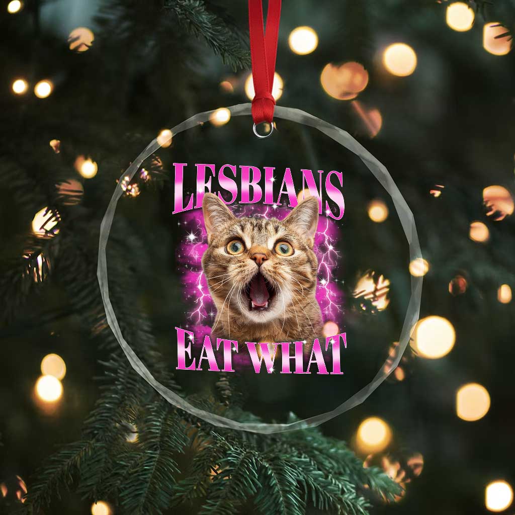 Lesbians Eat What Crystal Glass Ornament Funny Cat Gay Pride LGBTQ Pun TS10 Print Your Wear