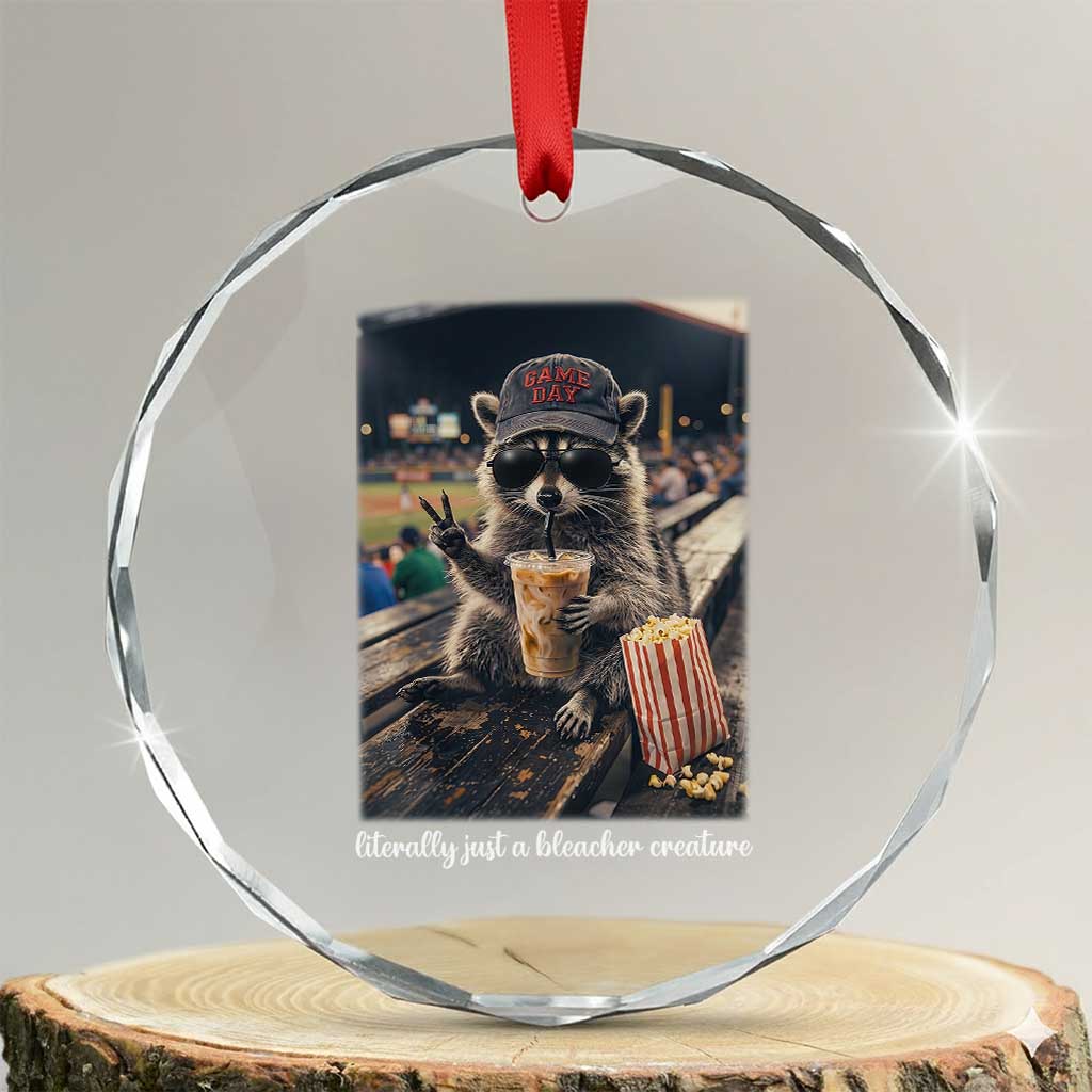 Literally Just A Bleacher Creature Funny Raccoon Baseball Graphic Crystal Glass Ornament Cool Game Day Fan Gift TS02 Transparent Glass 3'' Circle Print Your Wear