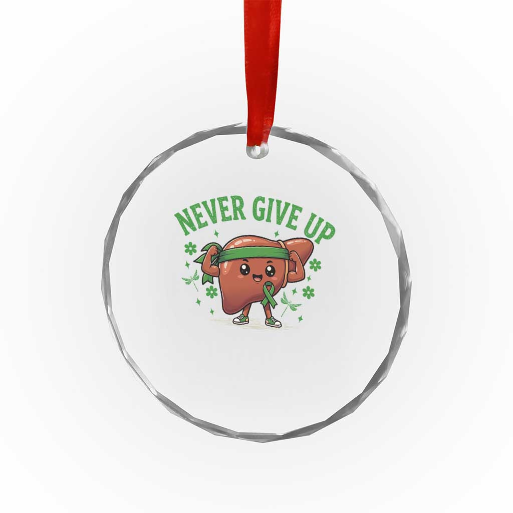 Liver Cancer Awareness Transplant Support Crystal Glass Ornament Never Give Up Nurse Gift
