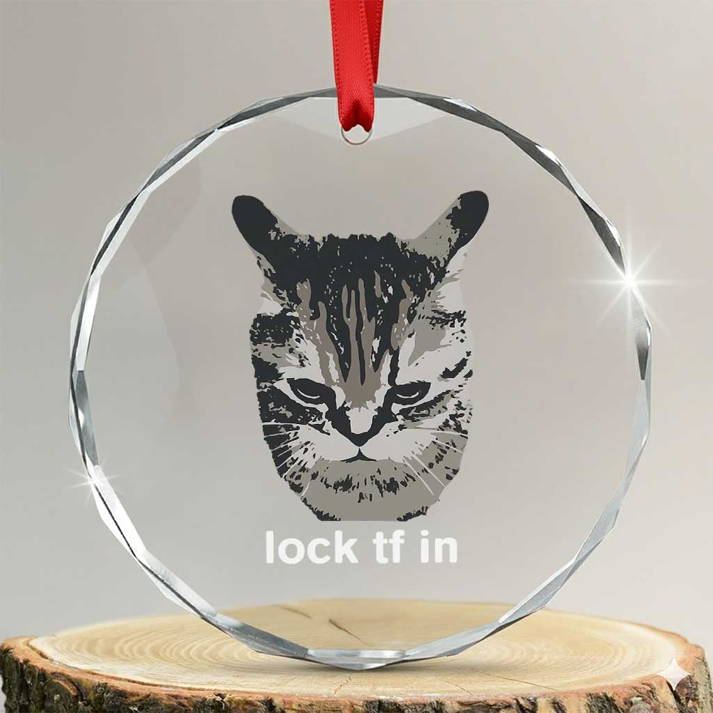 Lock TF In Cat Crystal Glass Ornament Funny Gen Z Meme TS14 Transparent Glass 3'' Circle Print Your Wear