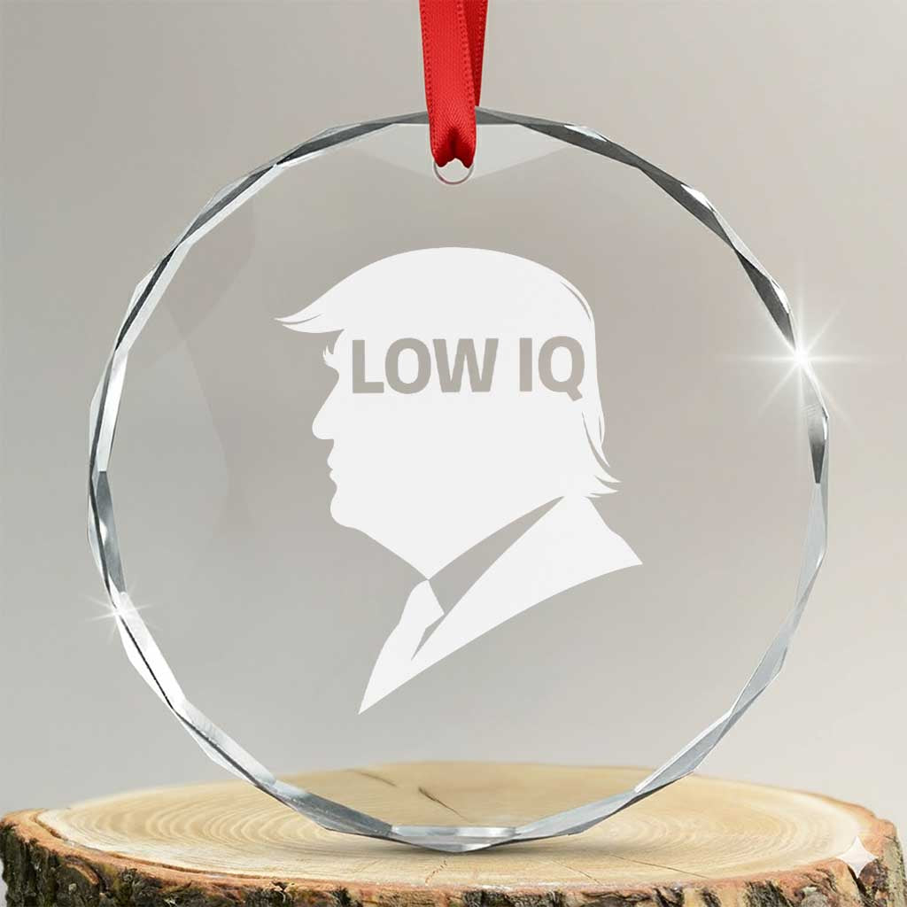 Low IQ Political Silhouette Profile Humor Crystal Glass Ornament Satirical Politics Subtle Hate TS02 Transparent Glass 3'' Circle Print Your Wear