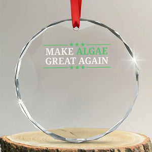 Make Algae Great Again Crystal Glass Ornament Funny Political Satire Lincoln Reflecting Pool
