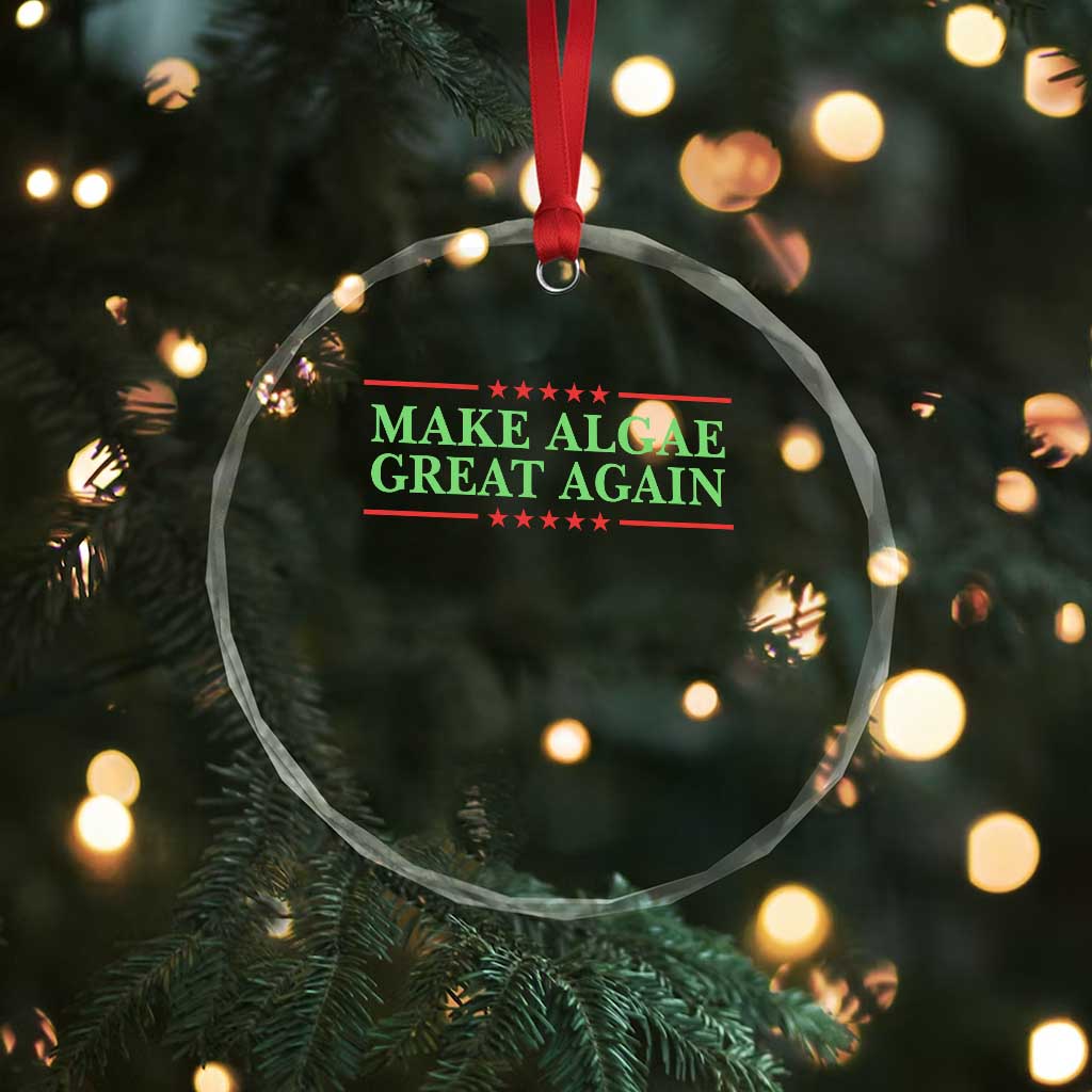 Make Algae Great Again Retro Crystal Glass Ornament Funny Lincoln Memorial Reflecting Pool Parody Meme
