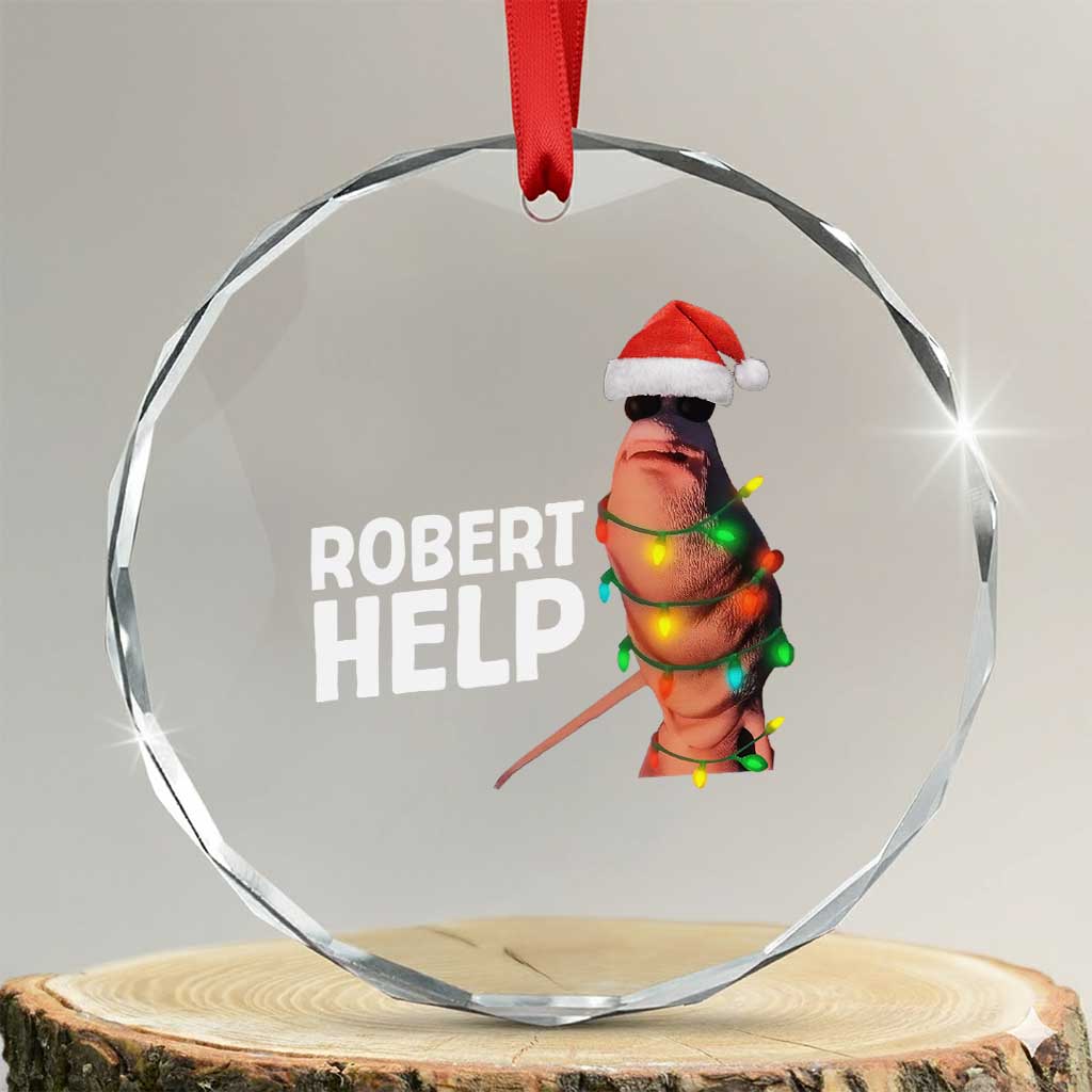 Marcus The Worm Christmas Crystal Glass Ornament Robert Help Internet Weirdcore Brainrot Humor TS10 Transparent Glass 3'' Circle Print Your Wear
