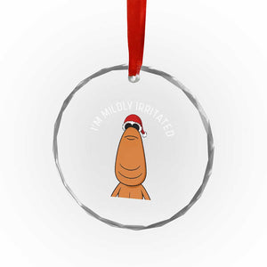 Marcus The Worm Christmas Meme Crystal Glass Ornament I Am Mildly Irritated TS14 Print Your Wear
