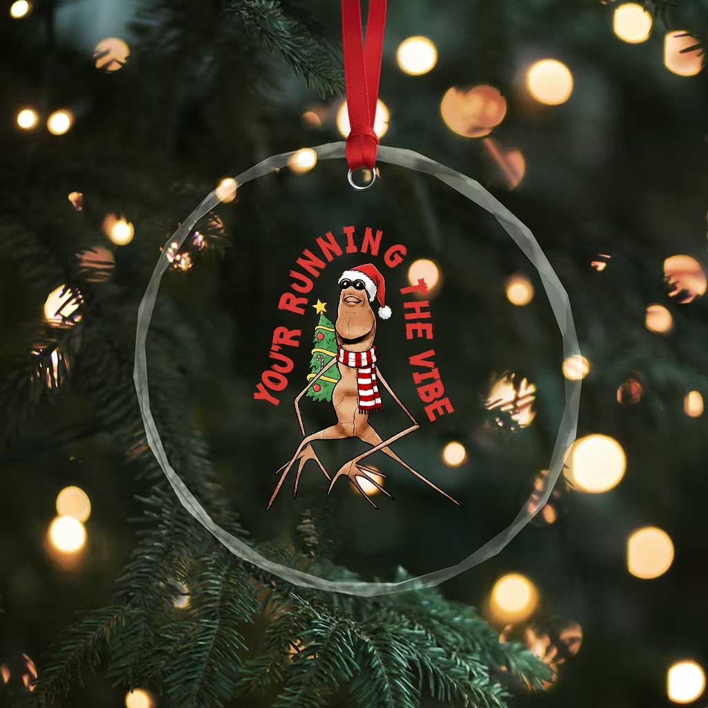 Marcus The Worm Christmas Meme Crystal Glass Ornament You Are Running The Vibe TS14 Print Your Wear