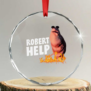 Marcus The Worm Crystal Glass Ornament Funny Brainrot Meme Robert Help TS10 Transparent Glass 3'' Circle Print Your Wear