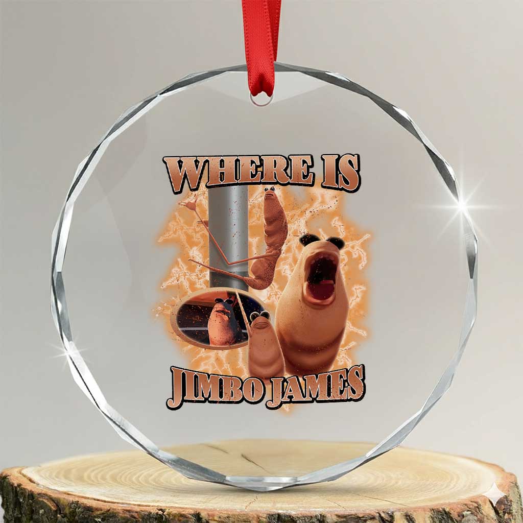 Marcus The Worm Meme Crystal Glass Ornament Where Is Jimbo James TS14 Transparent Glass 3'' Circle Print Your Wear