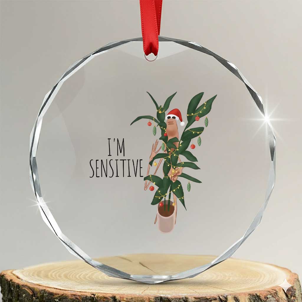 Marcus The Worm Christmas Meme Crystal Glass Ornament I Am Sensitive TS14 Transparent Glass 3'' Circle Print Your Wear