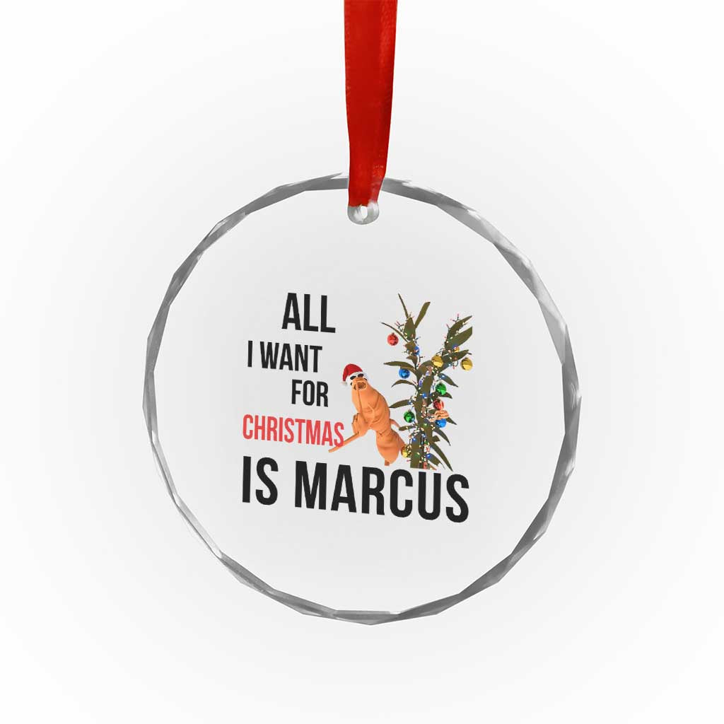 Marcus The Worm Robert Meme Crystal Glass Ornament All I Want For Christmas Is Marcus TS14 Print Your Wear