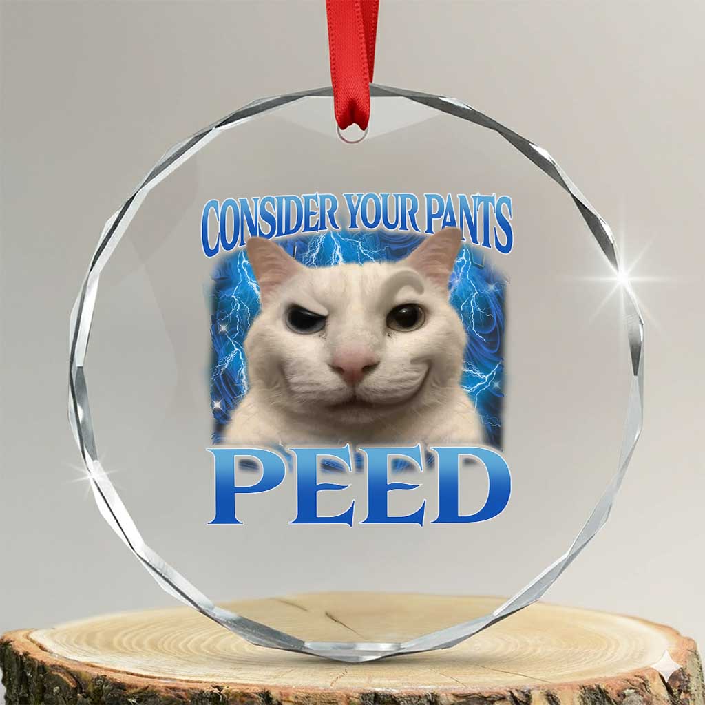 Meme Cat Crystal Glass Ornament Funny Weird Humor Consider Your Pants Peed TS10 Transparent Glass 3'' Circle Print Your Wear