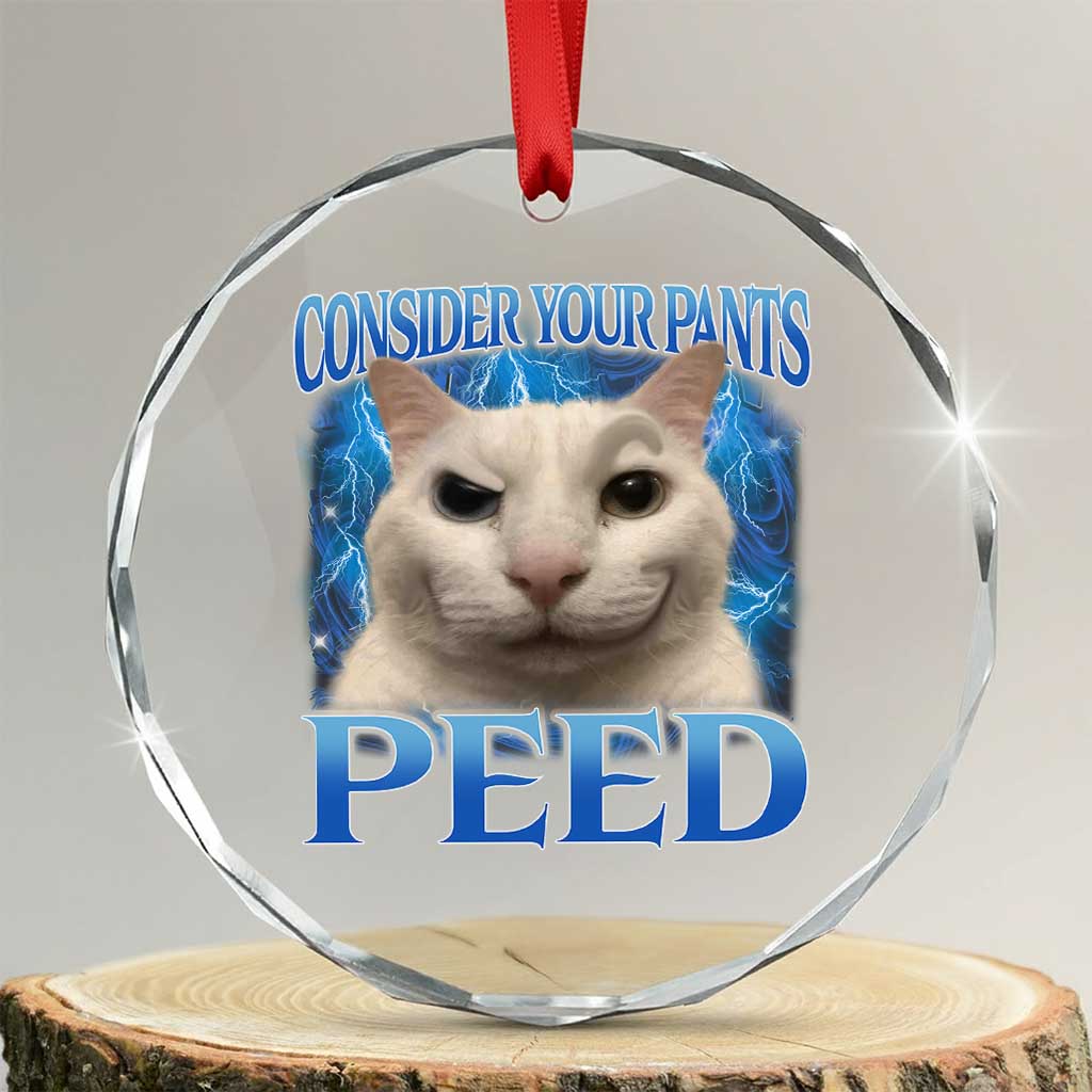 Meme Cat Crystal Glass Ornament Funny Weird Humor Consider Your Pants Peed TS10 Transparent Glass 3'' Circle Print Your Wear