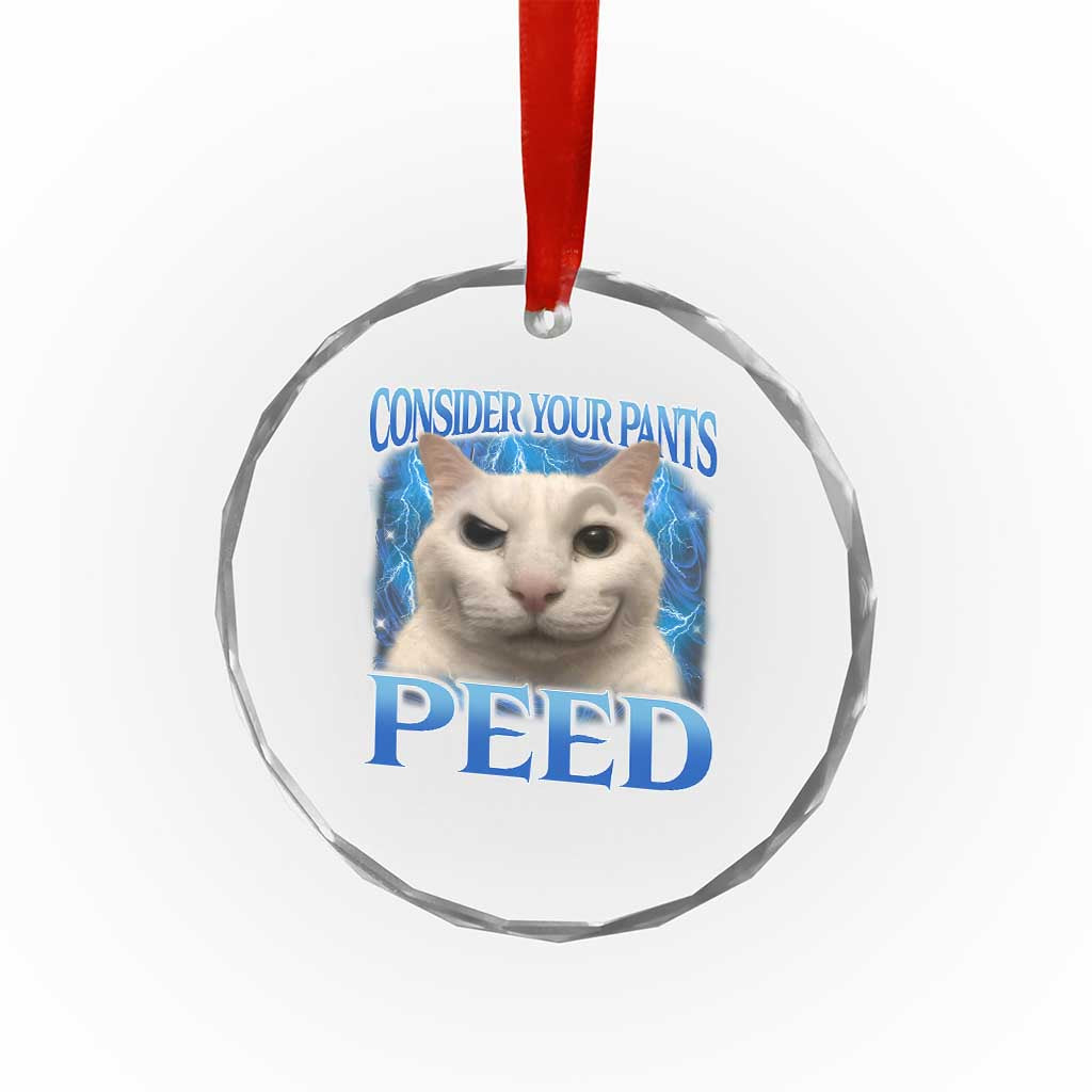Meme Cat Crystal Glass Ornament Funny Weird Humor Consider Your Pants Peed TS10 Print Your Wear