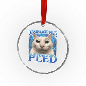 Meme Cat Crystal Glass Ornament Funny Weird Humor Consider Your Pants Peed - Print Your Wear