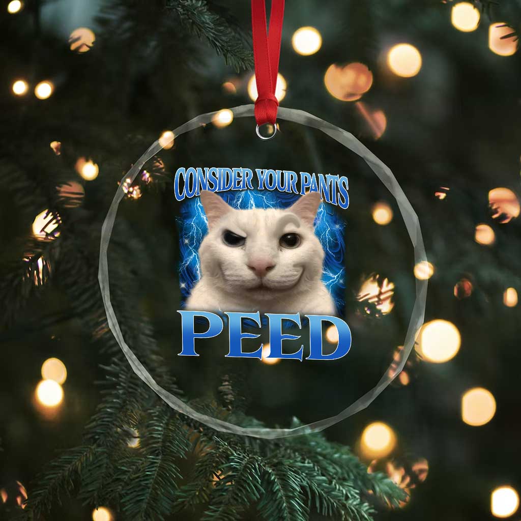 Meme Cat Crystal Glass Ornament Funny Weird Humor Consider Your Pants Peed TS10 Print Your Wear