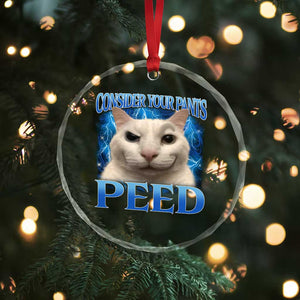 Meme Cat Crystal Glass Ornament Funny Weird Humor Consider Your Pants Peed - Print Your Wear