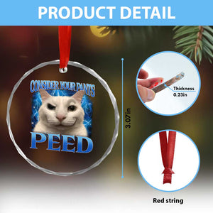 Meme Cat Crystal Glass Ornament Funny Weird Humor Consider Your Pants Peed - Print Your Wear