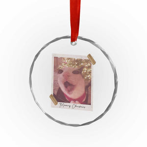 Meowy Christmas Crystal Glass Ornament Funny Cat Lovers Xmas Vintage Photo TS10 Print Your Wear