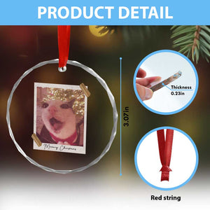 Meowy Christmas Crystal Glass Ornament Funny Cat Lovers Xmas Vintage Photo TS10 Print Your Wear