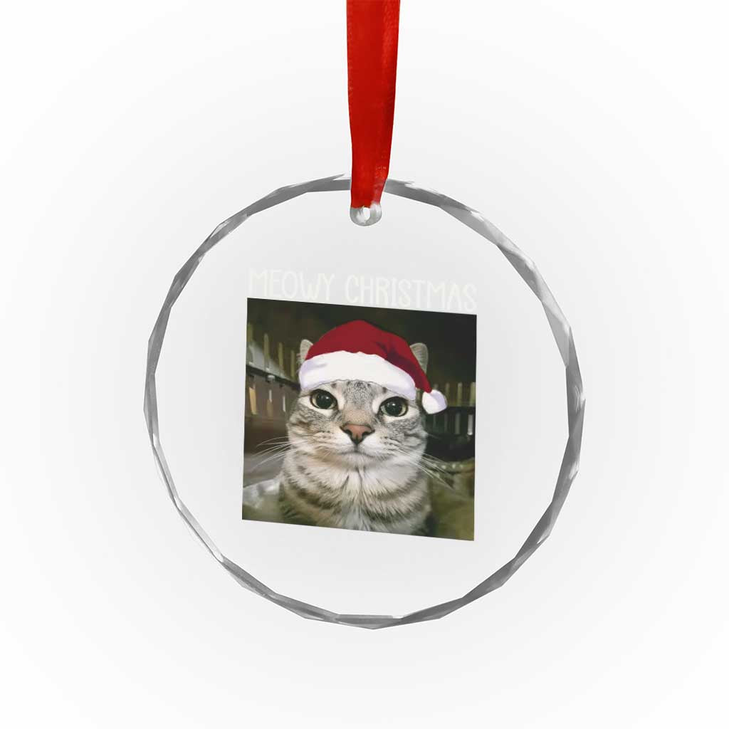 Meowy Christmas Crystal Glass Ornament Xmas Silly Staring Cat Meme Santa Hat TS10 Print Your Wear
