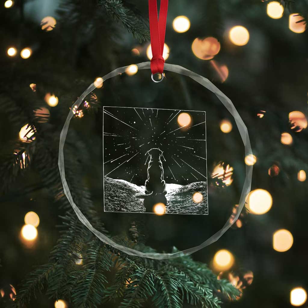 Meteor Shower Science Gift Crystal Glass Ornament Dog Watching Stars