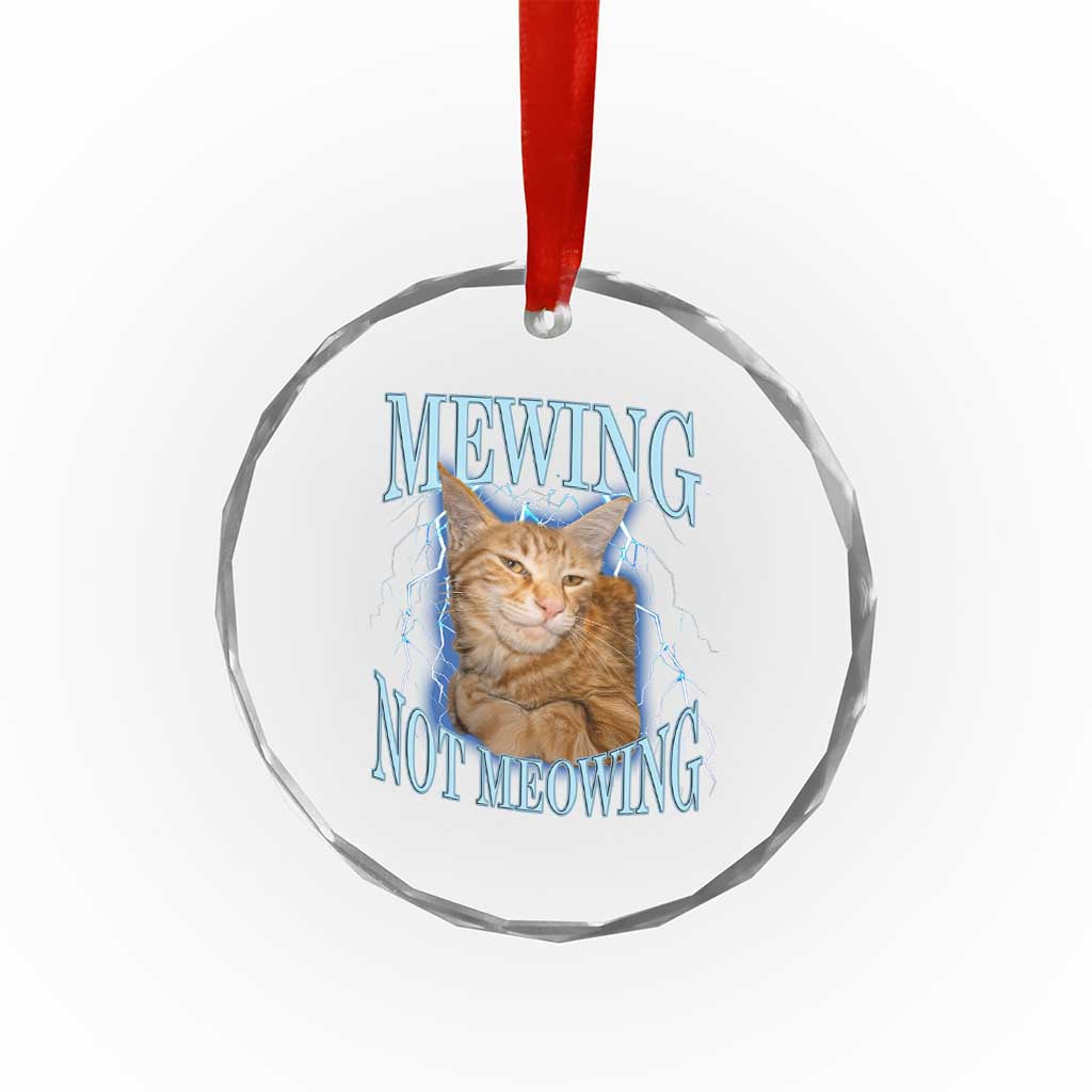 Mewing Not Meowing Crystal Glass Ornament Funny Cat Meme TS14 Print Your Wear