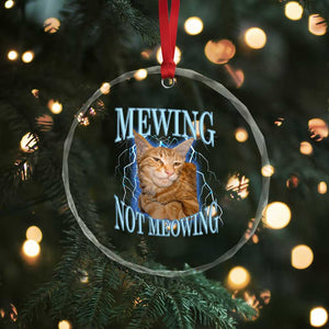 Mewing Not Meowing Crystal Glass Ornament Funny Cat Meme TS14 Print Your Wear