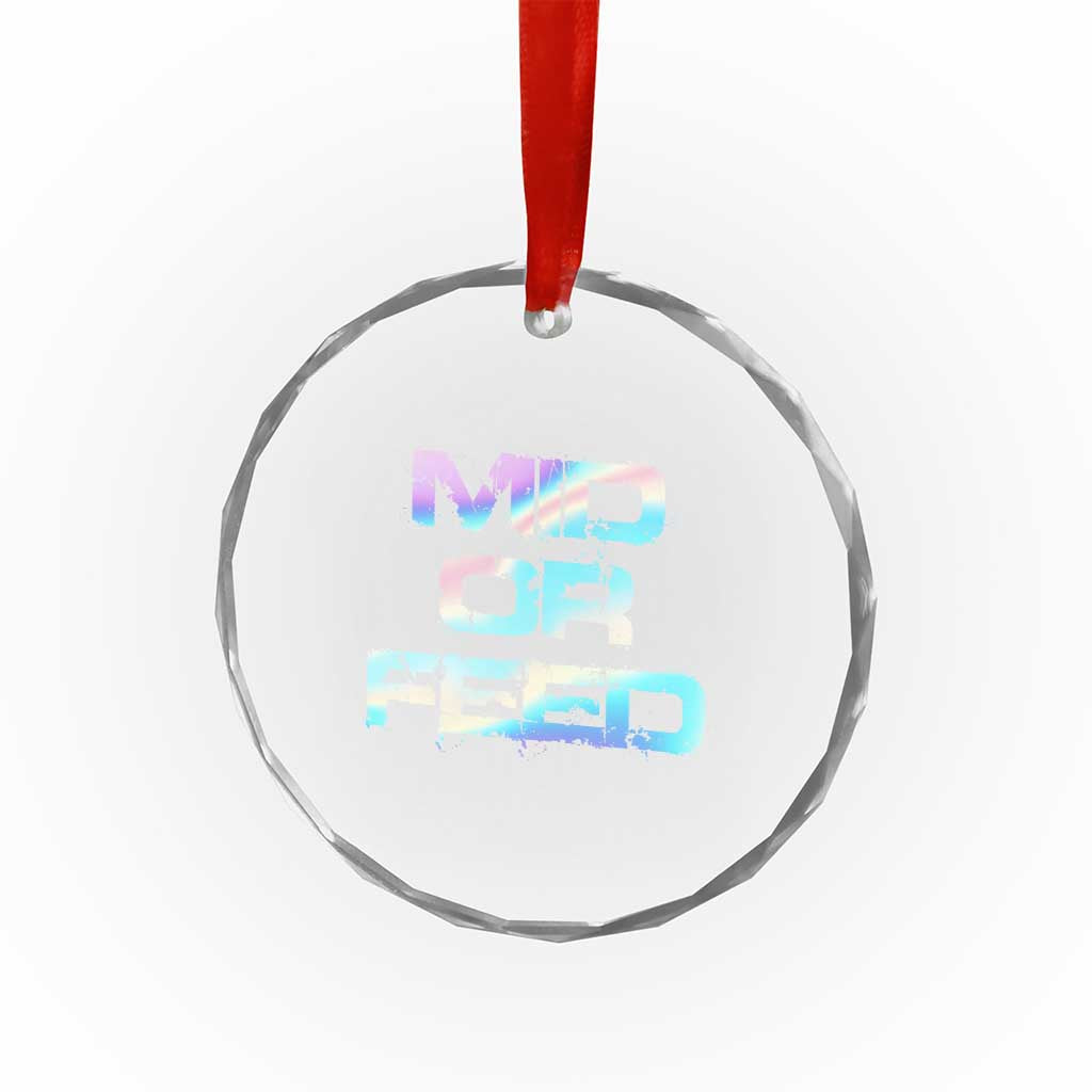 Mid Or Feed Iridescent Effect Crystal Glass Ornament Funny Game Lover Gift TS12 Print Your Wear