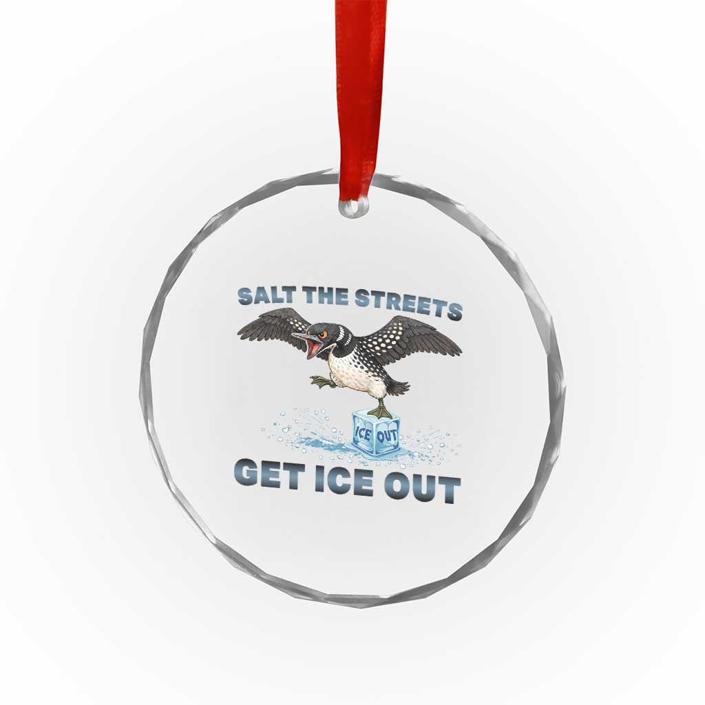 Minnesota Loon Salt The Streets Get Ice Out Crystal Glass Ornament TS12 Print Your Wear