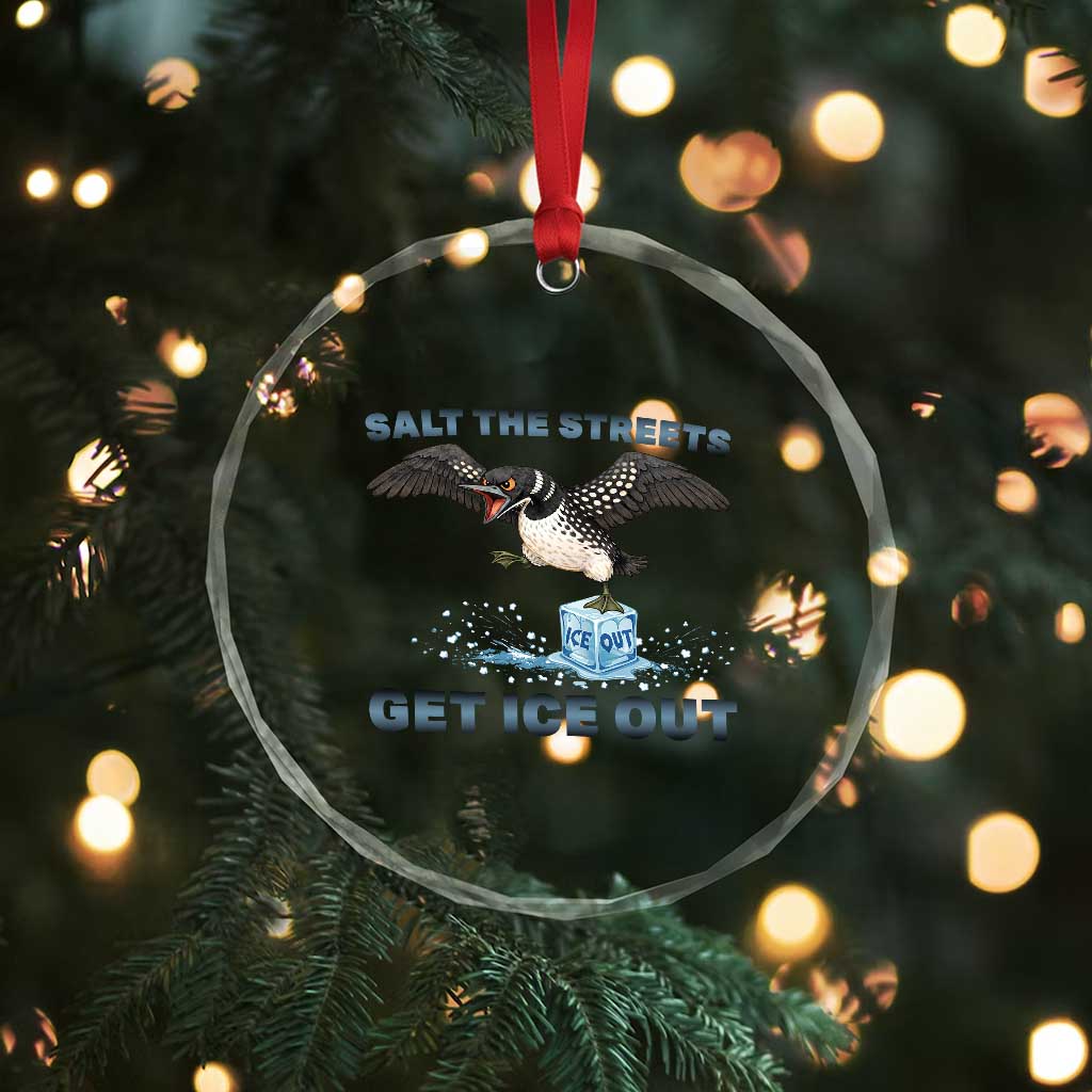 Minnesota Loon Salt The Streets Get Ice Out Crystal Glass Ornament TS12 Print Your Wear