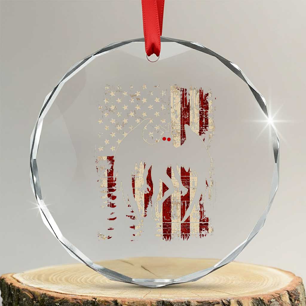 Mothman American Flag Patriotic Cryptid Creature Crystal Glass Ornament TS11 Transparent Glass 3'' Circle Print Your Wear
