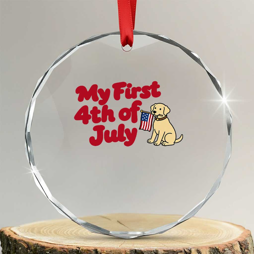My First 4th of July Cute Golden Retriever Puppy Dog Crystal Glass Ornament American Flag Independence Holiday Milestone TS02 Transparent Glass 3'' Circle Print Your Wear
