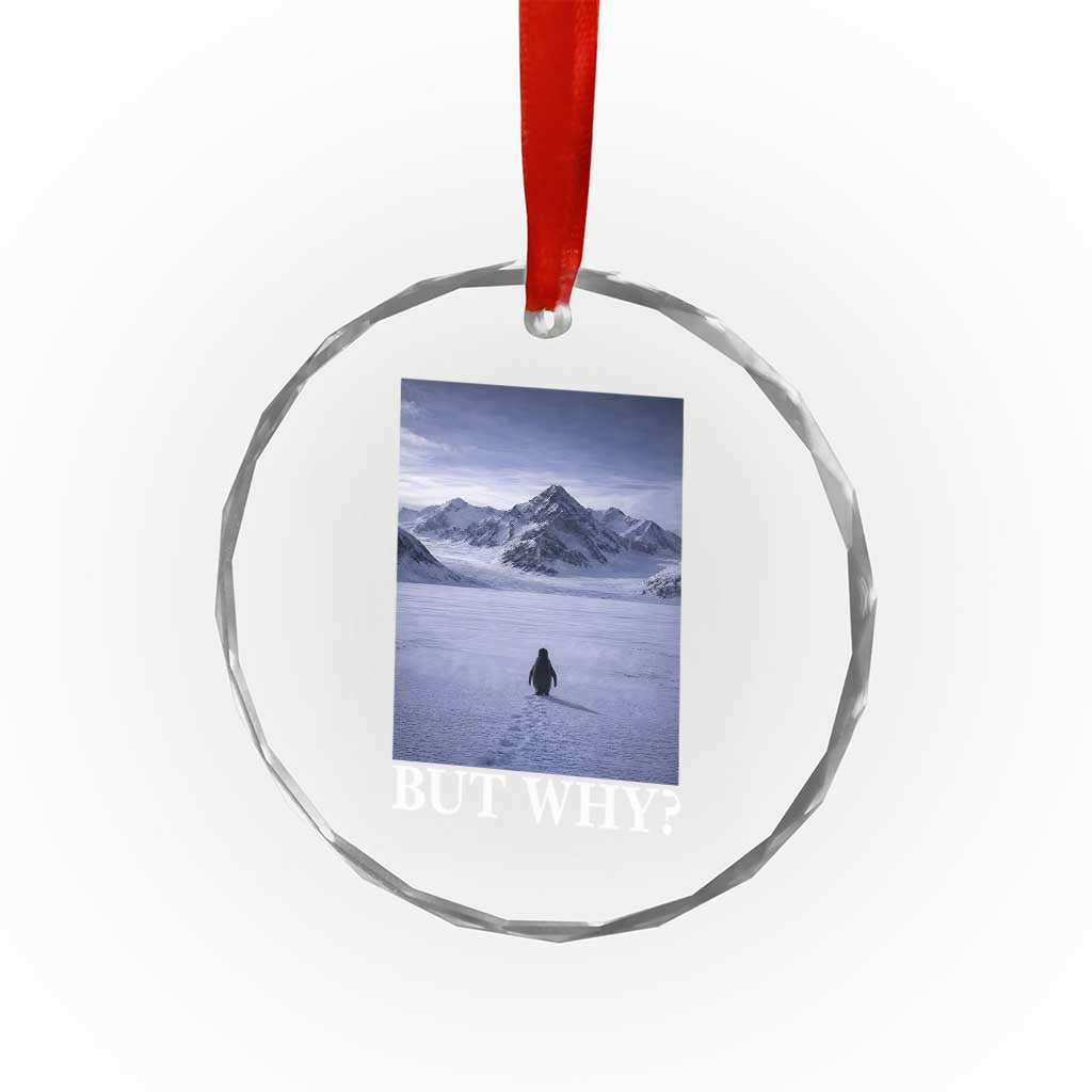 Nihilist Penguin But Why Crystal Glass Ornament Lone Penguin Walking Toward Mountain Meme TS11 Print Your Wear