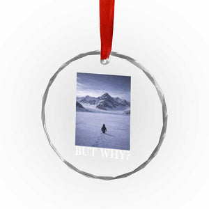 Nihilist Penguin But Why Crystal Glass Ornament Lone Penguin Walking Toward Mountain Meme TS11 Print Your Wear