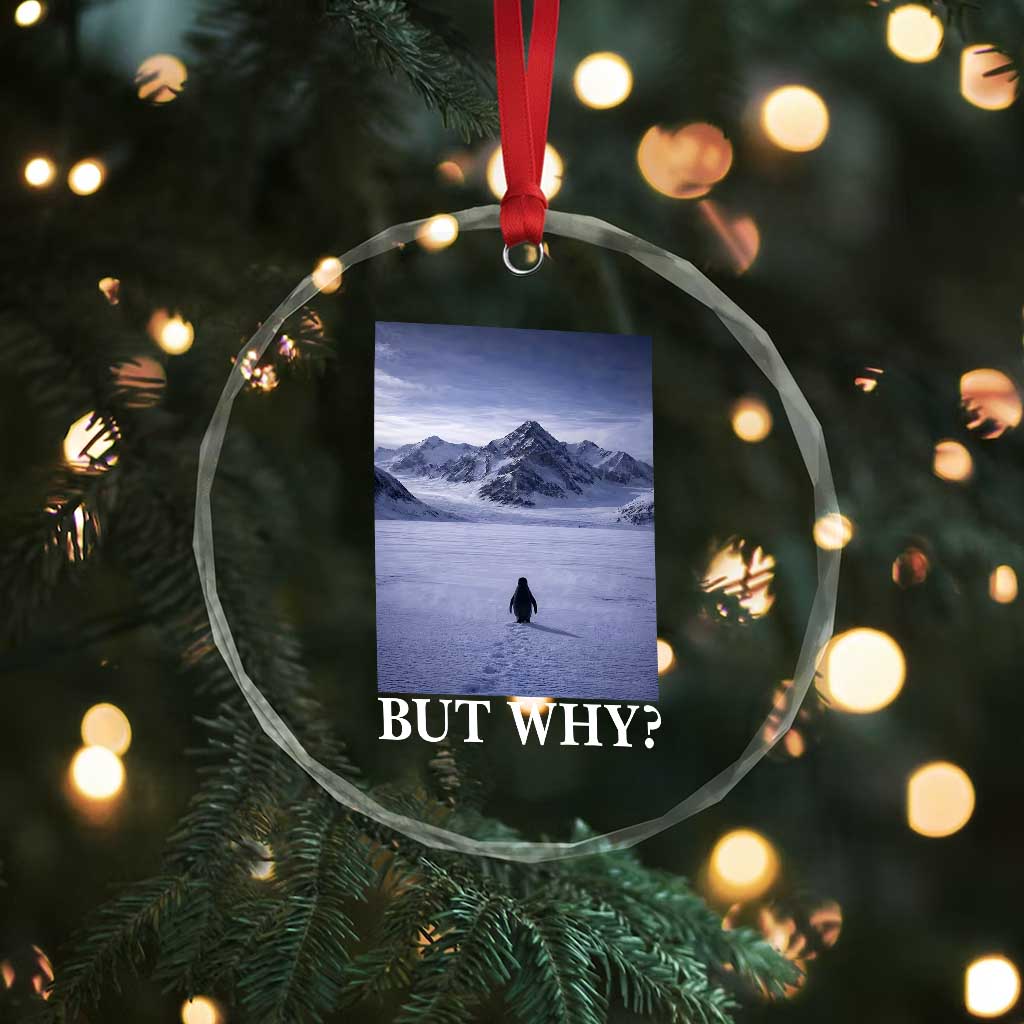 Nihilist Penguin But Why Crystal Glass Ornament Lone Penguin Walking Toward Mountain Meme TS11 Print Your Wear