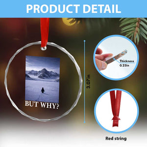 Nihilist Penguin But Why Crystal Glass Ornament Lone Penguin Walking Toward Mountain Meme TS11 Print Your Wear