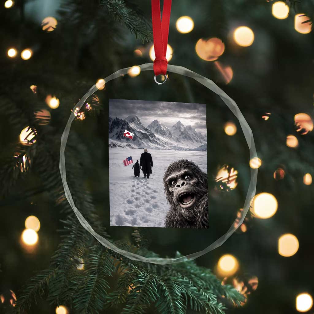 Nihilist Penguin Trump Hiking Mountains Crystal Glass Ornament Funny Bigfoot Selfie But Why TS14 Print Your Wear