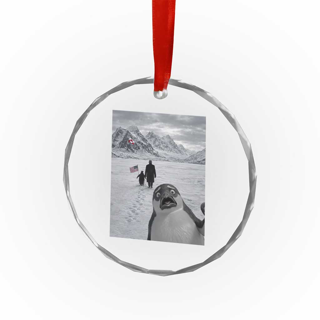 Nihilist Penguin Trump Hiking Mountains Crystal Glass Ornament Funny Penguin Selfie But Why TS14 Print Your Wear