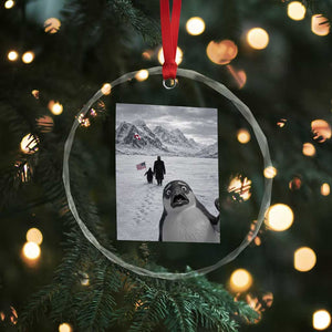 Nihilist Penguin Trump Hiking Mountains Crystal Glass Ornament Funny Penguin Selfie But Why TS14 Print Your Wear