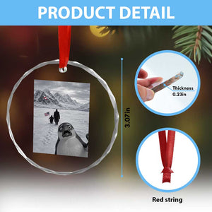 Nihilist Penguin Trump Hiking Mountains Crystal Glass Ornament Funny Penguin Selfie But Why TS14 Print Your Wear
