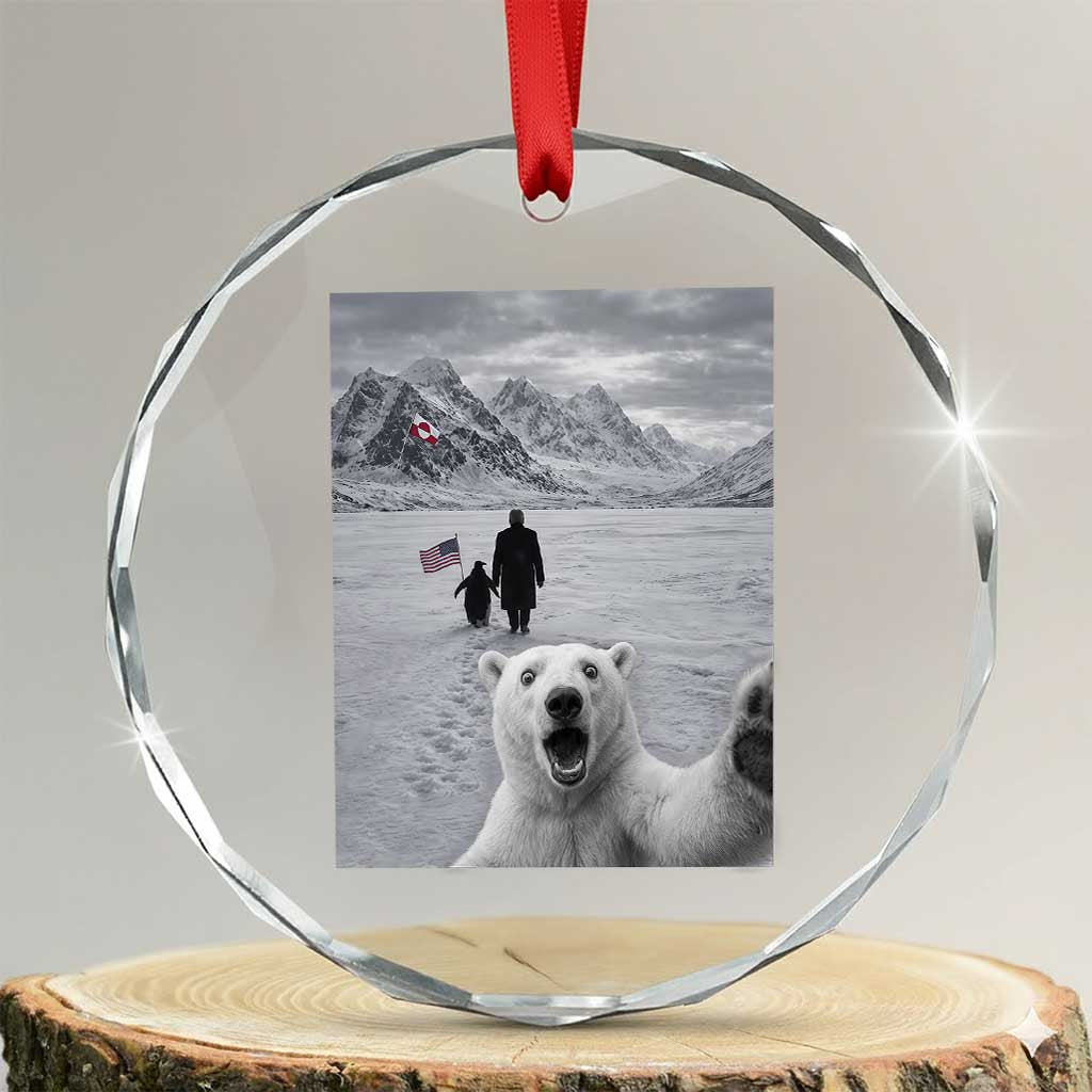 Nihilist Penguin Trump Hiking Mountains Crystal Glass Ornament Funny Polar Bear Selfie But Why TS14 Transparent Glass 3'' Circle Print Your Wear