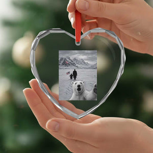 Nihilist Penguin Trump Hiking Mountains Heart Crystal Glass Ornament Funny Polar Bear Selfie But Why TS14 Print Your Wear