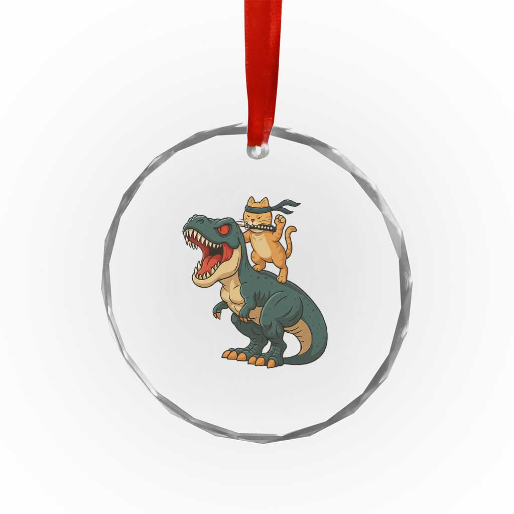 Ninja Cat Riding Dinosaur Crystal Glass Ornament TS14 Print Your Wear