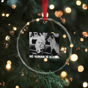 No Human Is Illegal Crystal Glass Ornament Funny Cat Anti ICE Meme TS14 Print Your Wear